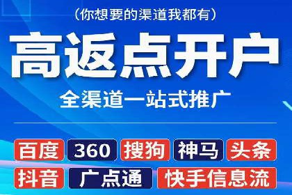 百度竞价代理技巧：经典成功案例解析